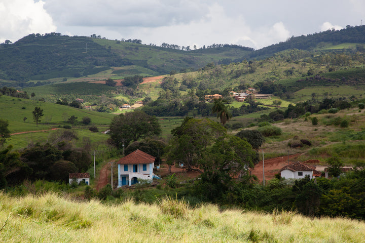 Image by PROJETO CAFÉ GATO-MOURISCO